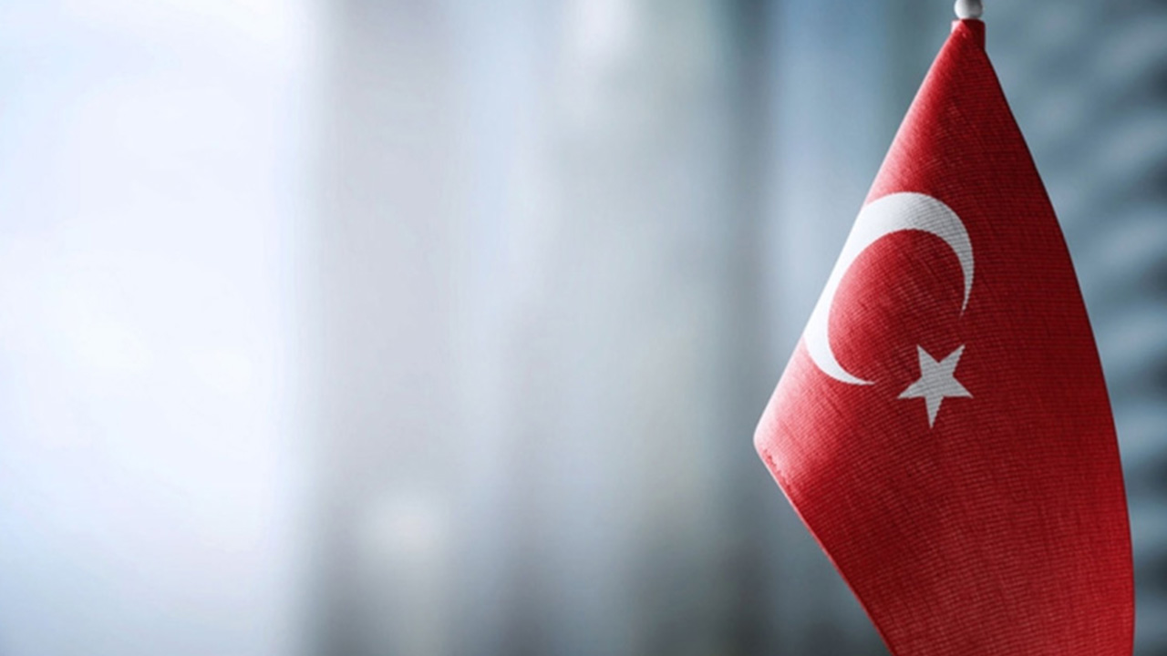مفهوم الضمان الحكومي في تركيا
